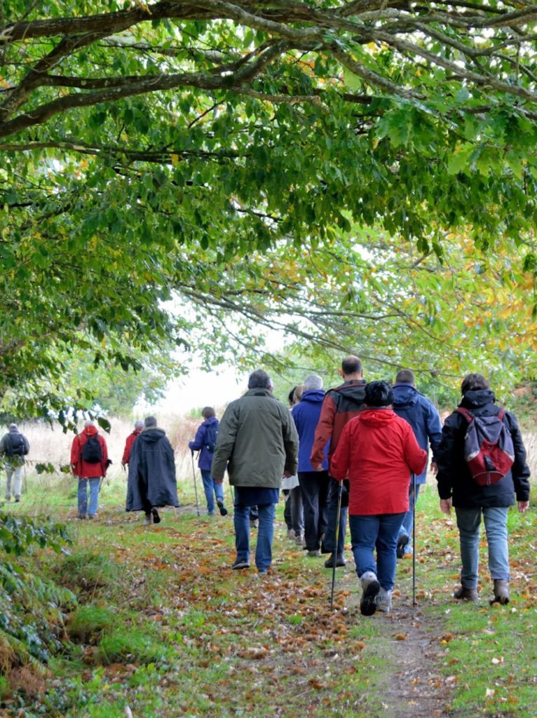 Gruppenreise wandern Rentner