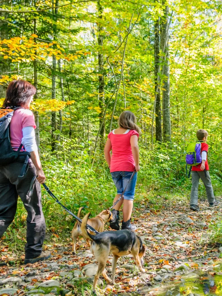 Urlaub mit Hund im Natur-Ferienpark