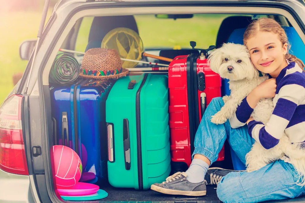 Ferien mit Haustier Urlaub mit Hund Ferienhaus Ferienwohnung