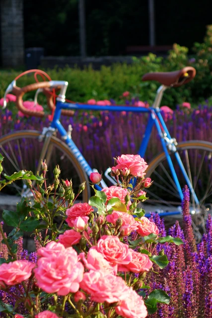 Nieheim Radfahren