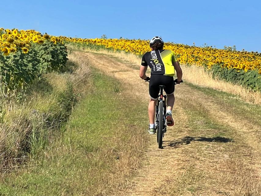 Natur Ferienpark Radfahren